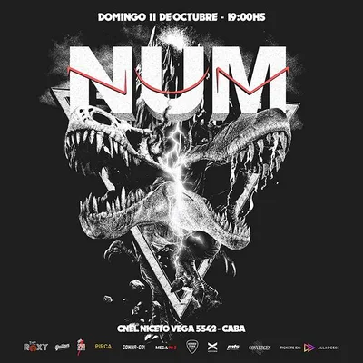 NUM VUELVE!