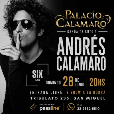 ANDRÉS CALAMARO TRIBUTO EN SAN MIGUEL