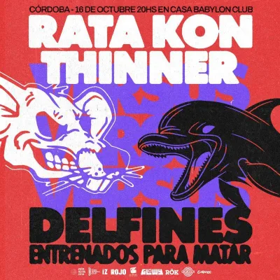 RATA KON THINNER vs DELFINES ENTRENADOS PARA MATAR