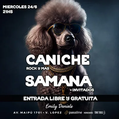 Caniche Rock & Samana - Emily Daniels