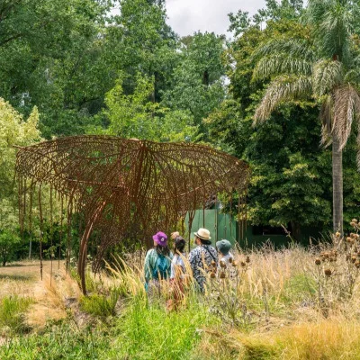 Día de Campo en MuseoCampo Cañuelas de junio