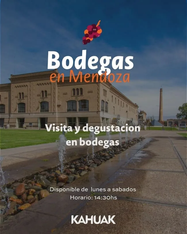 TOUR de VINOS Medio Día de Bodegas