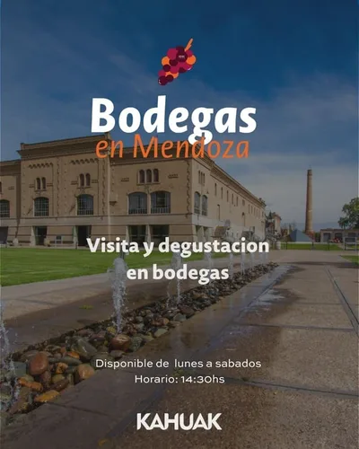 TOUR de VINOS Medio Día de Bodegas