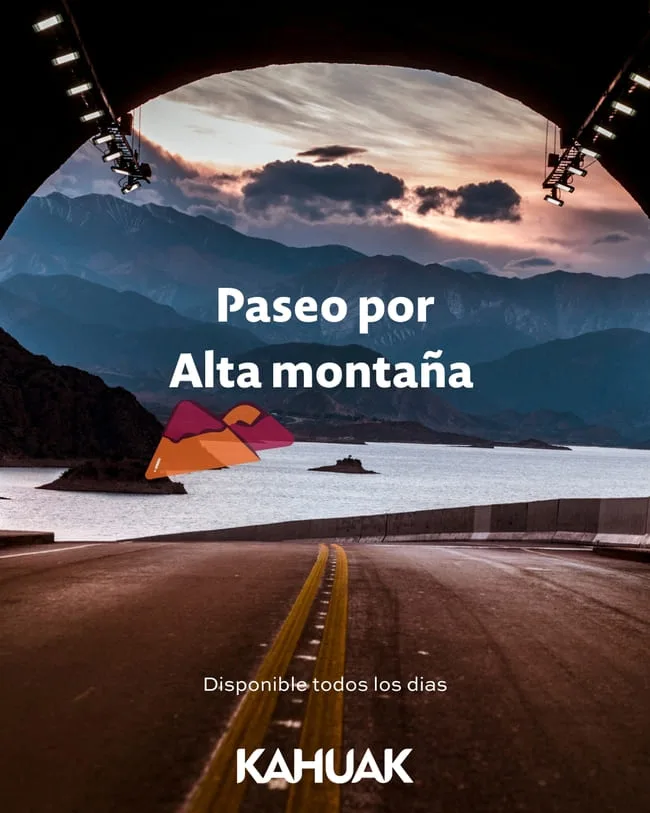 ANDES MENDOCINOS Tour Día Completo