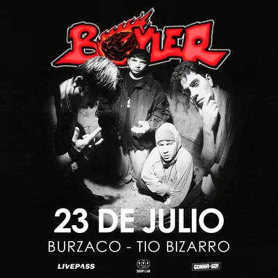 BOYLER en Burzaco