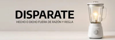 DISPARATE - HECHO O DICHO FUERA DE RAZON Y REGLA