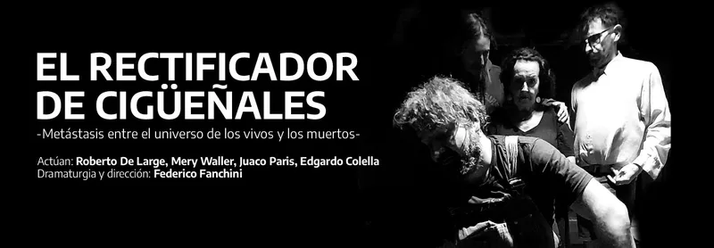 EL RECTIFICADOR DE CIGÜEÑALES