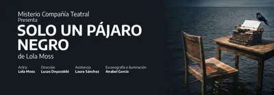 SOLO UN PAJARO NEGRO