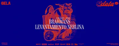 DATA LOCAL x Momento Indie: Levantamiento Neblina + Brahmans (Tucumán)