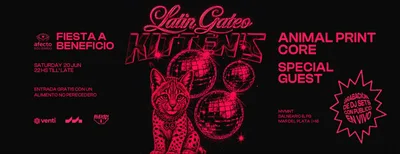 [SAB20JUN] LATIN GATEO KITTEN’S [MVMNT] 